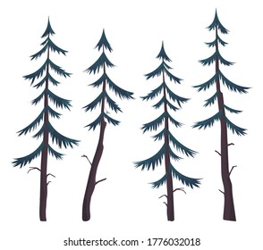 Conjunto de imágenes vectoriales de pinos y primos. Siluetas de árboles verdes para siempre. La vegetación forestal. Flora y fauna de Taiga o Alaska. Acampando en el bosque. Familia de coníferas. Ilustración vectorial plana