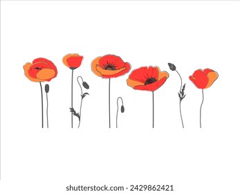 Set of vector images of poppies on a white background