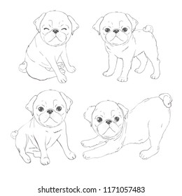 Set of vector images of pug. Isolated objects on a white background.