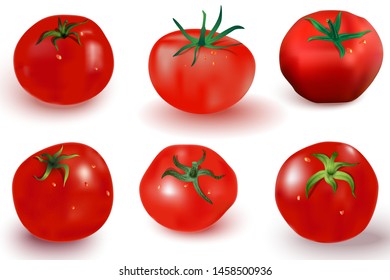 Set of vector images of red tomatoes in the style of realism. Six ripe tomatoes on a white background with shadow, highlights, water drops and green leaves. Elements for food design.