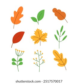 Set of vector images of red, yellow, orange autumn leaves