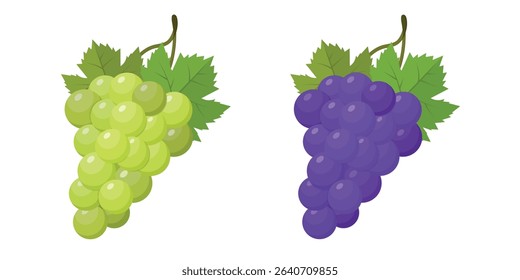 Set of vector images of ripe blue and green grape branches with leaves Grape icon on a white background
