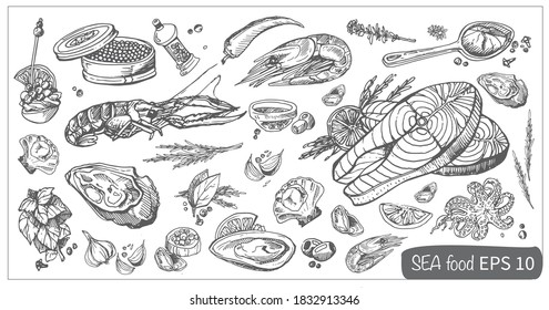 
 set of vector images of sea food, sea food shrimp, salmon, langoustine ,oyster, caviar and spices for cooking, crustaceans and ocean food EPS 10, sea food vector EPS 10 for logo, menu and cards