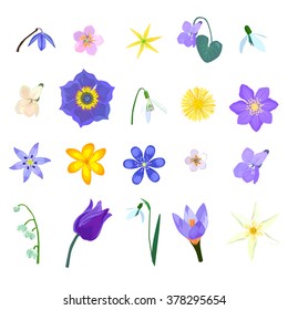 a set of vector images of spring flowers
