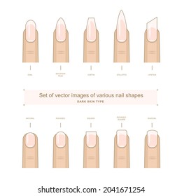 Set of vector images of various nail shapes for dark skin type