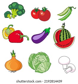 set of vector images of vegetables broccoli, tomatoes, peas, eggplant, cabbage, onion, paprika, champignons, watermelon, isolates on a white background