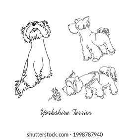 Set of vector images of Yorkshire terrier. Black and white line drawings of different poses of a small dog