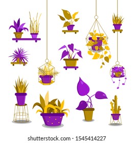Set of vector indoor houseplants, collection of potted plants on a white background. Vector illustration - vector graphics.