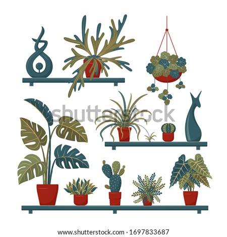 Set of vector indoor plants and decorative elements on the shelves. Interior potted plants isolated on white. Great for flower shop banner, poster, etc. Urban jungle, trendy home or office decor