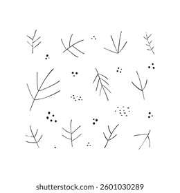 Set of vector ink wood twigs, sticks on white background. Hand drawn forest drawing collection, natural tree branches. Rustic design