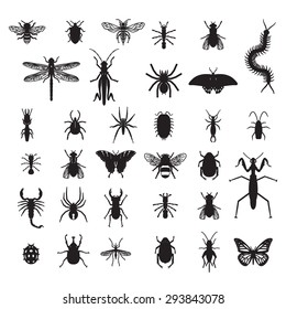 Set of vector insects