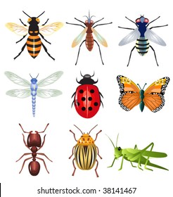 set of vector insects