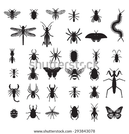 Set Vector Insects Stock Vector (Royalty Free) 293843078 - Shutterstock