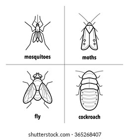 Set vector insects fly, moth, cockroach, mosquito. Collection  in a modern style mono line. Black and white illustration of icons isolated on white background.