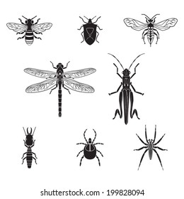 Set of vector insects volume 3