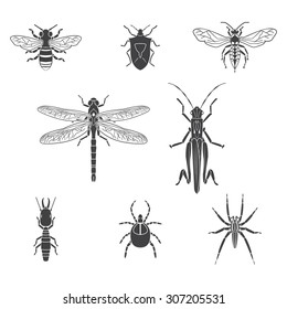 Set of vector insects volume 3