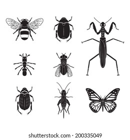 Set of vector insects volume 4