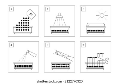 Set with vector instruction info graphic microgreens. Information line icon infographic. Document concept. White background. Outline simple illustration.