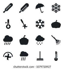 Set of vector isolated black icon - umbrella vector, storm cloud, ripper, rake, rain, pumpkin, thermometer, snowflake