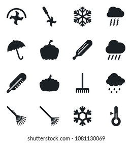 Set of vector isolated black icon - umbrella vector, storm cloud, ripper, rake, rain, pumpkin, thermometer, snowflake