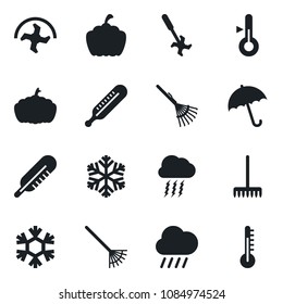 Set of vector isolated black icon - umbrella vector, storm cloud, ripper, rake, rain, pumpkin, thermometer, snowflake