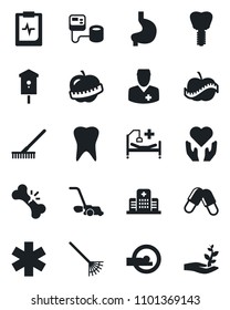 Set of vector isolated black icon - rake vector, lawn mower, bird house, blood pressure, pills, tomography, ambulance star, hospital bed, heart hand, stomach, tooth, implant, broken bone, diet