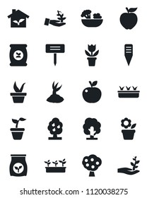Set of vector isolated black icon - flower in pot vector, seedling, tree, sproute, plant label, fertilizer, fruit, salad, apple, eco house, palm