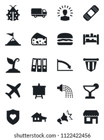 Set of vector isolated black icon - pennant vector, presentation board, watering, sproute, lady bug, patch, heart shield, plane, car delivery, rack, paper binder, house with garage, cocktail, cheese
