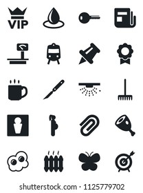 Set of vector isolated black icon - train vector, male, vip, rake, butterfly, water drop, scalpel, pregnancy, heavy scales, news, paper pin, sertificate, coffee, clip, key, heater, ham, omelette