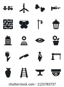 Set of vector isolated black icon - barrier vector, baggage larry, boarding, flower in pot, ladder, butterfly, garden light, real heart, eye, broken bone, pregnancy, tulip, sun panel, windmill, chip