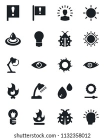 Set of vector isolated black icon - sun vector, bulb, lady bug, fire, eye, important flag, brightness, desk lamp, water, shining head
