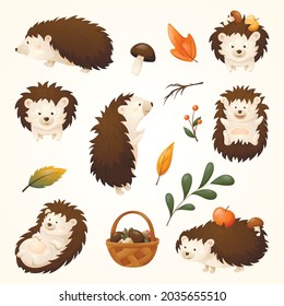 Set of vector isolated cartoon images of baby hedgehog. Forest animal, autumn fallen leaves, branches and berries, basket with mushrooms.