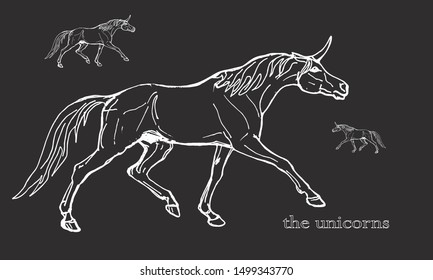 the set of vector isolated drawn unicorns on a black background 