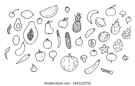 Set of vector isolated elements food products vegetarian vegetables and fruits. the symbol of the harvest. hand-drawn doodle style black outline on white background pumpkin, carrot watermelon and othe