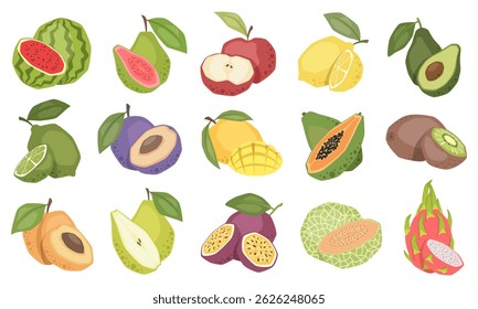 Set of vector isolated fruits