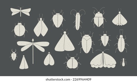 Set of vector isolated grunge insects illustrations at dark background. Silhouette of butterfly, ant, moth, bug, cockroach, ladybug, dragonfly, scarab.