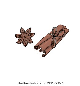 Definir o vetor isolado ilustração canela tempero para design, blog, receita, imprimir.