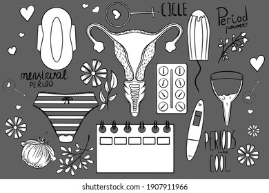 Conjunto de imágenes vectoriales aisladas del ciclo menstrual. Utero, toallita, tampón, taza vaginal, flores, pastillas, mujeres de sexo más fuerte, calendario menstrual, prueba de embarazo