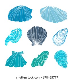 Set of vector isolated seashells. Drawn collection of shells