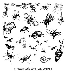 Set of vector isolated silhouettes of insects (ant, fly, grasshopper, dragonfly, butterfly, moth, beetle, bug, bee, snail, spider).