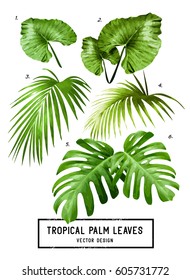 A set of vector isolated tropical jungle green palm leaves.