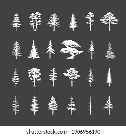 Set of vector isoleted icons of pine, fir, cedsar, oak on black. Collection of forest trees silhouettes. 