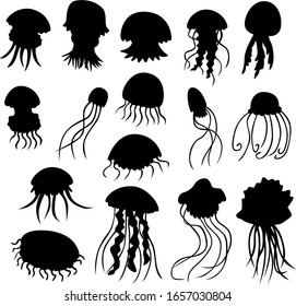 Set of vector jellyfish of diferent kinds using only black color.