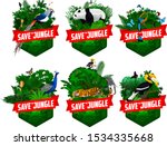 set of vector jungle rainforest emblems with diamond pheasant, Turquoise browed Motmot, giant panda bear, great hornbill, male peacock peafowl, cobra snake, tiger, elephant and butterflies