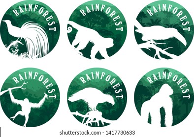 set of vector jungle rainforest emblems with orangutan, gorilla, lesser bird of paradise, philippine Eagle, channel-billed toucan and ape monkey capuchin