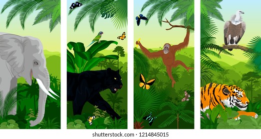 set of vector Jungle rainforest vertical baners with elephant, orangutan, Griffon vulture, tiger, parrot, butterflies and jaguar or leopard black panther