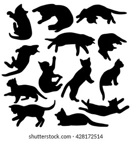 Set of vector kitten isolated in white background.