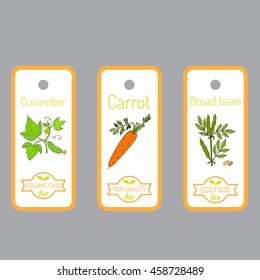 Set of vector labels with hand drawn vegetables. Can be used for restaurant menu, farmers market and organic food store