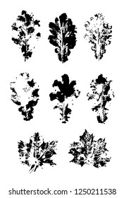 Set of vector Leaf imprints. Collection of black leaves imprints on transparent background. Grunge leaves. Design elements. Leaf stamp