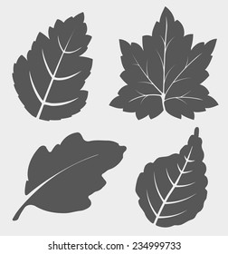 Set of vector leaves. 